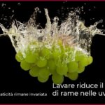 Lavare riduce il contenuto di rame nelle uve