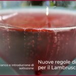 Nuove regole di produzione per il Lambrusco