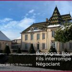 Borgogna: Bouchard Père & Fils interrompe l’attività di Négociant