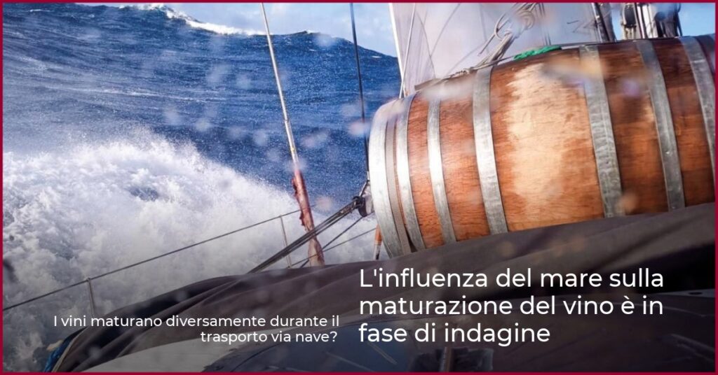 L’influenza del mare sulla maturazione del vino è in fase di indagine