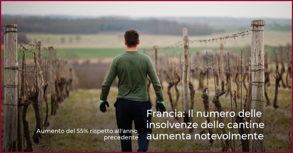 Francia: Il numero delle insolvenze delle cantine aumenta notevolmente