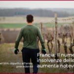 Francia: Il numero delle insolvenze delle cantine aumenta notevolmente