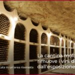 La cantina moldava rimuove i vini di Putin dall’esposizione