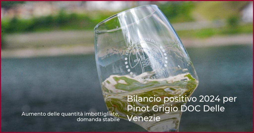Bilancio positivo 2024 per Pinot Grigio DOC Delle Venezie