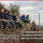 Gli studenti di viticoltura ricostruiscono un muro a secco vicino a Rüdesheim