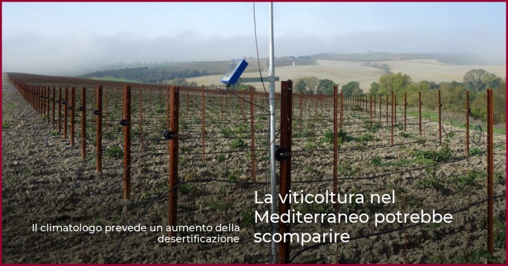 La viticoltura nel Mediterraneo potrebbe scomparire