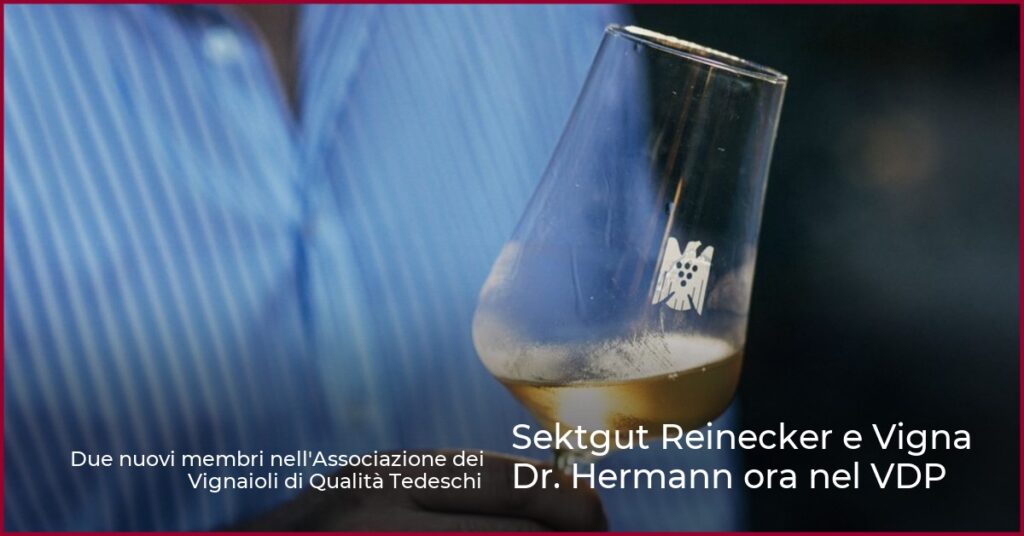 Sektgut Reinecker e Vigna Dr. Hermann ora nel VDP
