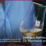 Sektgut Reinecker e Vigna Dr. Hermann ora nel VDP