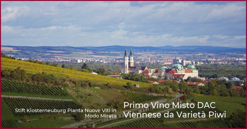 Primo Vino Misto DAC Viennese da Varietà Piwi