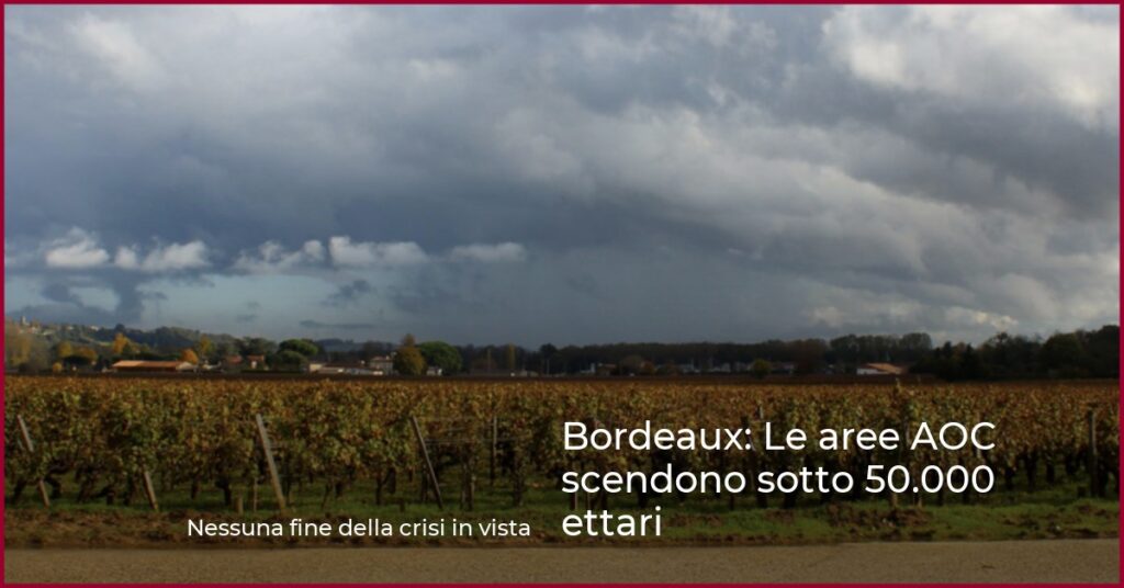 Bordeaux: Le aree AOC scendono sotto 50.000 ettari