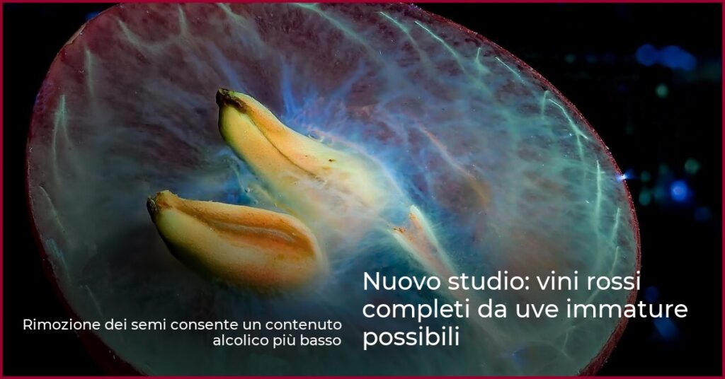 Nuovo studio: vini rossi completi da uve immature possibili