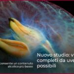 Nuovo studio: vini rossi completi da uve immature possibili