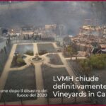 LVMH chiude definitivamente Newton Vineyards in California