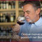 Cinque nuove varietà di uva possibili nel Bordeaux Blend