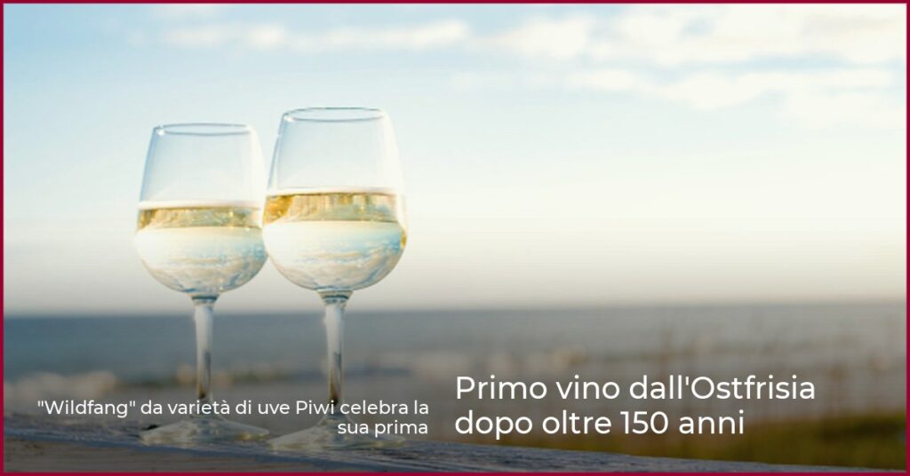 Primo vino dall’Ostfrisia dopo oltre 150 anni
