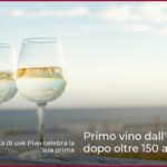 Primo vino dall’Ostfrisia dopo oltre 150 anni