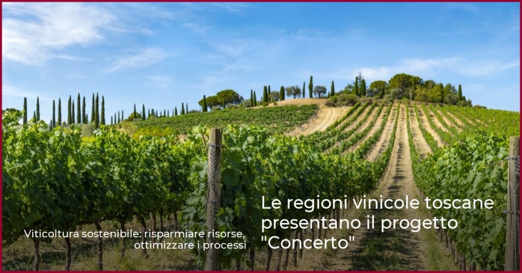 Le regioni vinicole toscane presentano il progetto “Concerto”