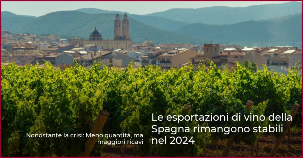 Le esportazioni di vino della Spagna rimangono stabili nel 2024
