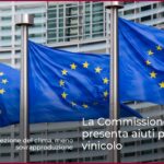 La Commissione Europea presenta aiuti per il settore vinicolo