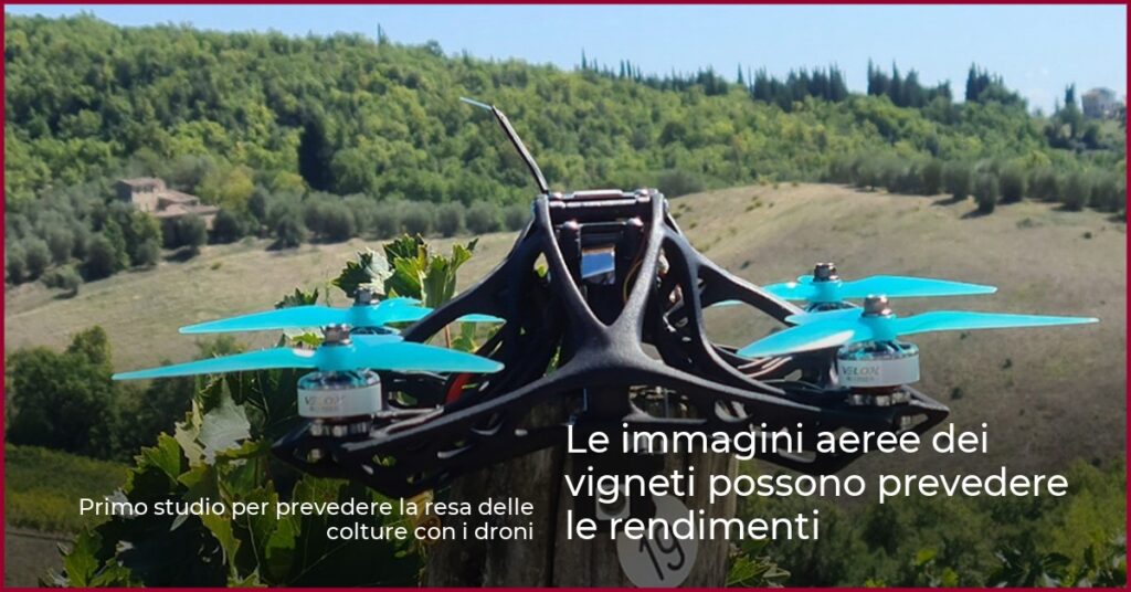 Le immagini aeree dei vigneti possono prevedere le rendimenti