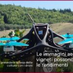 Le immagini aeree dei vigneti possono prevedere le rendimenti