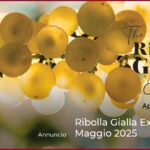 Ribolla Gialla Experience – Maggio 2025