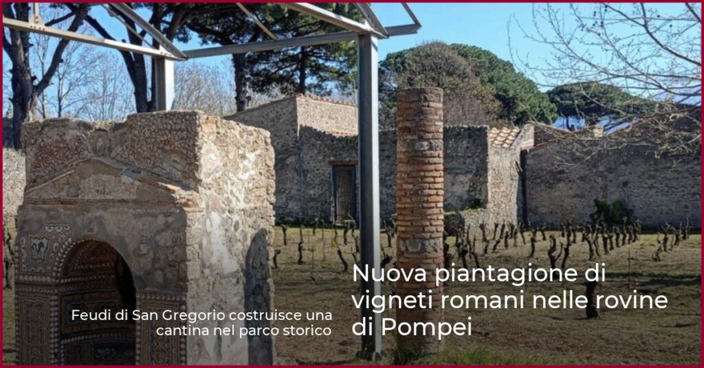 Nuova piantagione di vigneti romani nelle rovine di Pompei