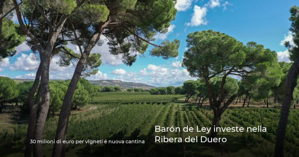 Barón de Ley investe nella Ribera del Duero