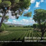 Barón de Ley investe nella Ribera del Duero