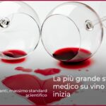 La più grande studio medico su vino e salute inizia
