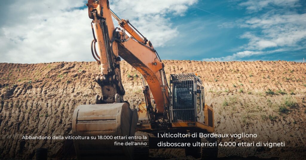 I viticoltori di Bordeaux vogliono disboscare ulteriori 4.000 ettari di vigneti