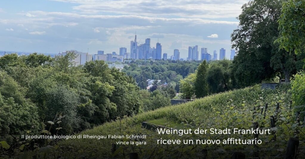 Weingut der Stadt Frankfurt riceve un nuovo affittuario