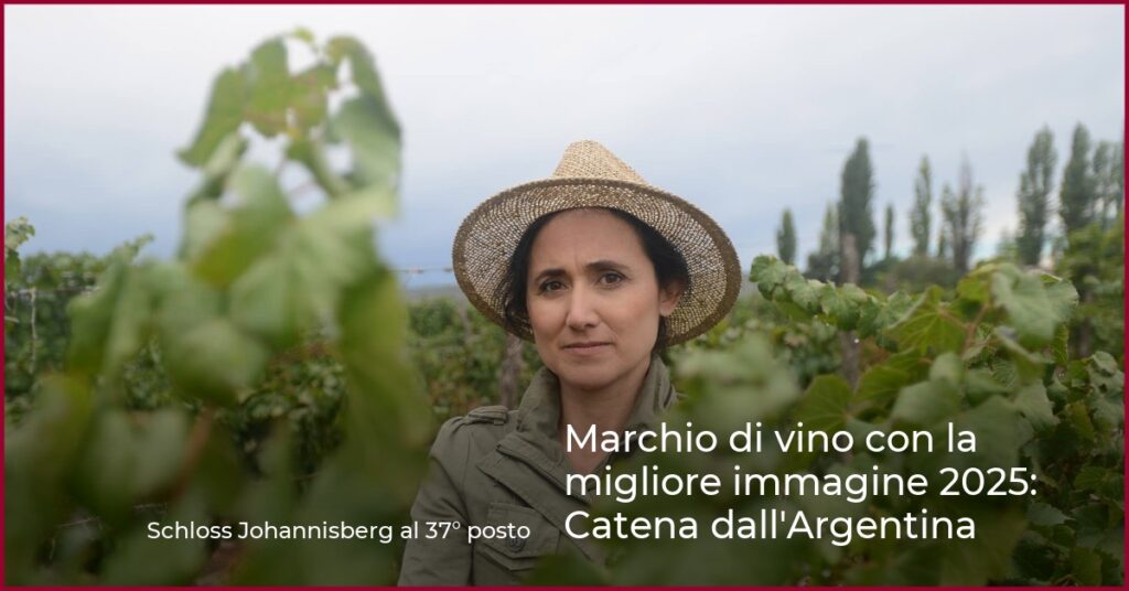 Marchio di vino con la migliore immagine 2025: Catena dall’Argentina