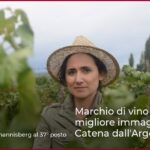 Marchio di vino con la migliore immagine 2025: Catena dall’Argentina