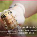 Le vendite di Cava biologico stanno aumentando rapidamente