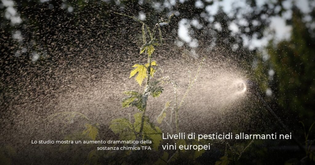 Livelli di pesticidi allarmanti nei vini europei