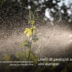 Livelli di pesticidi allarmanti nei vini europei