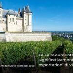 La Loira aumenterà significativamente le esportazioni di vino