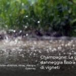 Champagne: La grandine danneggia fino a 1.000 ettari di vigneti