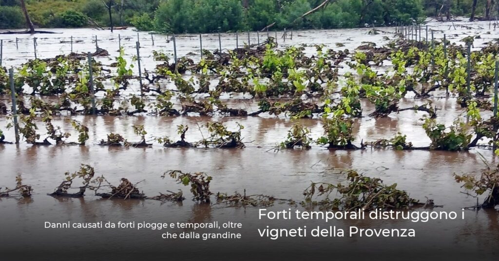 Forti temporali distruggono i vigneti della Provenza