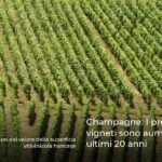 Champagne: I prezzi dei vigneti sono aumentati negli ultimi 20 anni