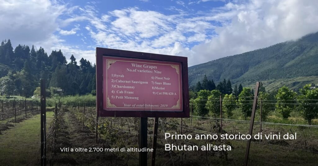 Primo anno storico di vini dal Bhutan all’asta