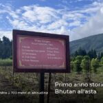 Primo anno storico di vini dal Bhutan all’asta