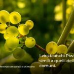 I vini bianchi Piwi sono molto simili a quelli delle varietà comuni.