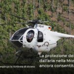 La protezione delle piante dall’aria nella Mosella è ancora consentita