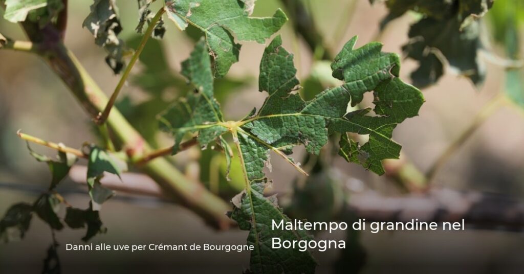 Maltempo di grandine nel Borgogna
