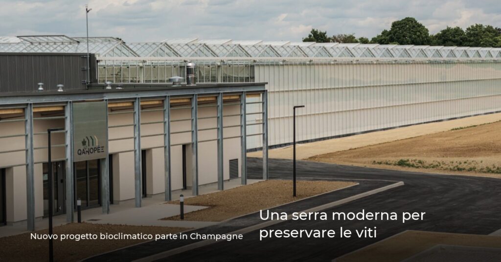 Una serra moderna per preservare le viti