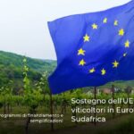 Sostegno dell’UE per i viticoltori in Europa e Sudafrica