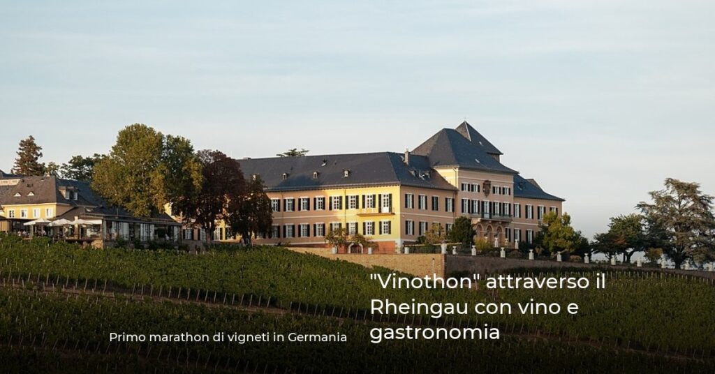 “Vinothon” attraverso il Rheingau con vino e gastronomia