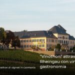 “Vinothon” attraverso il Rheingau con vino e gastronomia